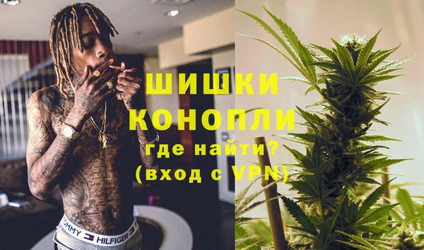 прущие грибы Абинск