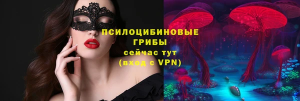 трава Алзамай