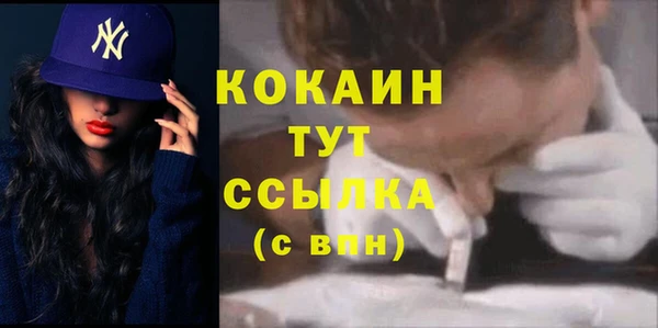 прущие грибы Абинск