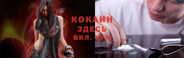 соль ск Алексин