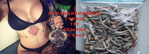 соль ск Алексин