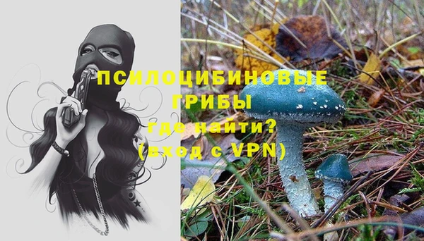 соль ск Алексин