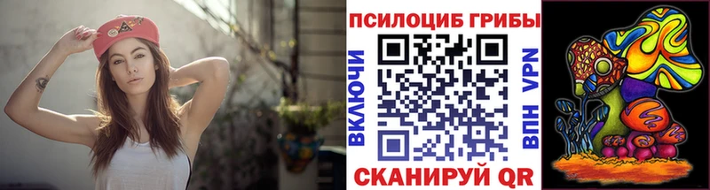 Галлюциногенные грибы Psilocybine cubensis  mega ссылка  Заводоуковск  магазин  наркотиков 